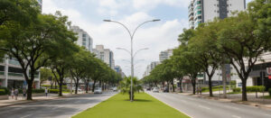 O que Avaliar Antes de Comprar um Poste Galvanizado